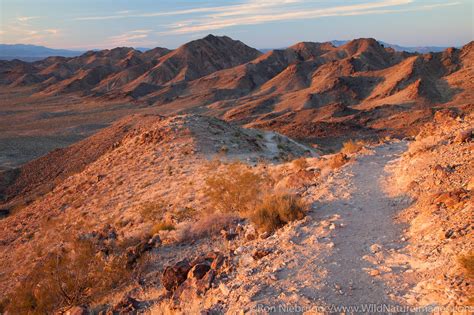 Boulder City, NV | Photos by Ron Niebrugge