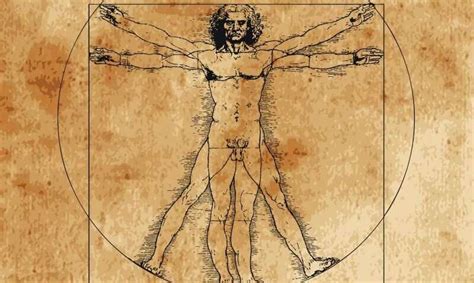 Leonardo's 'Vitruvian Man' ideal isn't far off modern measures