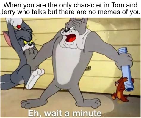 160+ Funny Tom And Jerry Memes To Keep You Laughing – FandomSpot