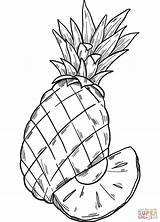 Pineapple coloring Page  Free Printable Coloring Pages sketch template