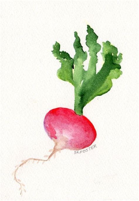 Radish Easy Drawing - SAM Vegetable