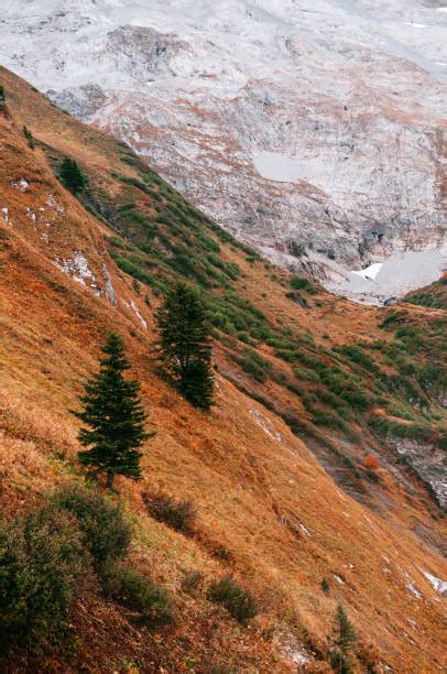 340+ Titlis Cable Car Engelberg Switzerland Stock Photos, Pictures & Royalty-Free Images - iStock