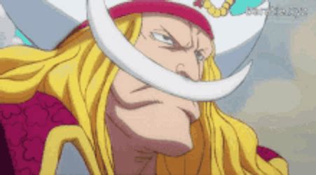Whitebeard Strongest Man One Piece Anime GIF | GIFDB.com
