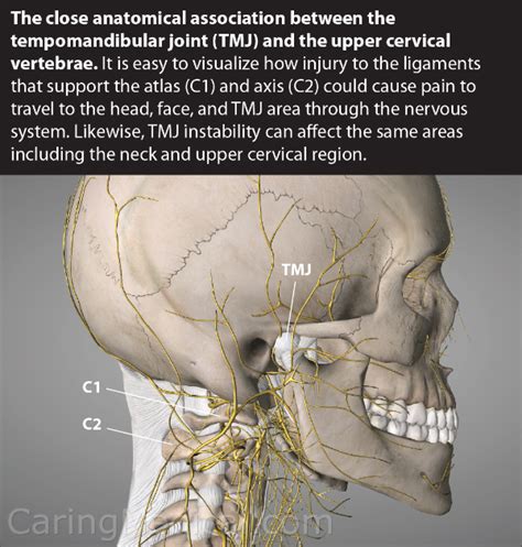 The evidence and comparisons of TMJ injection treatments – Caring Medical Florida