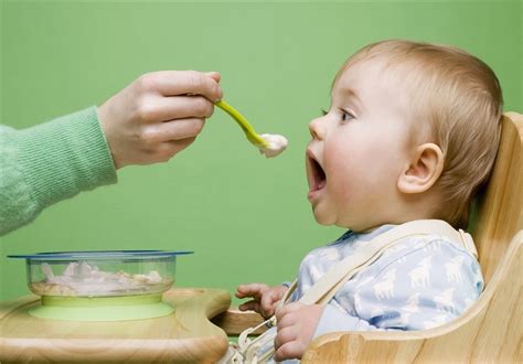 Home-Cooked Meals for Babies Not Always Better - Science news - Tasnim News Agency