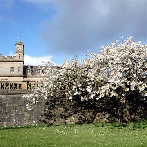 Bangor Castle (Town Hall) by Robert Navorol | Town hall, Images of ireland, Castle