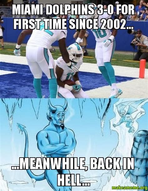 Nfl Memes Miami Dolphins Memes