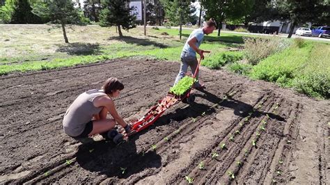 This Transplanter Takes Farming to the Next Level: Team Planting in Action! - YouTube