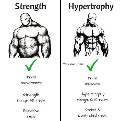 STRENGTH... | Muscle hypertrophy, Gym workout tips, Training fitness gym