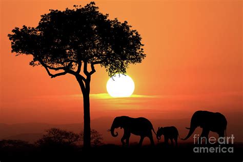 Beautiful Silhouette of African Elephants at Sunset Digital Art by Katrina Brown - Fine Art America