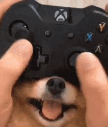 Dog Xbox Controller GIF - Dog Xbox Controller Controller - 探索與分享 GIF