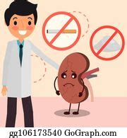 1 Doctor Cartoon Kidney Prohibited Salt And Tobacco Clip Art | Royalty Free - GoGraph
