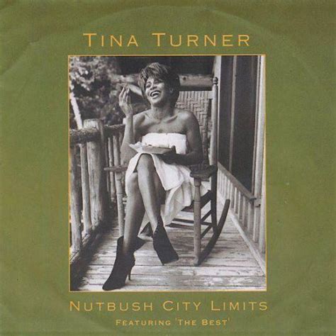 Tina Turner - Nutbush City Limits | Top 40