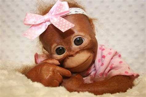 Zero Pam Real Life Reborn Doll Monkey Lifelike Animal Baby Reborn Baby ...