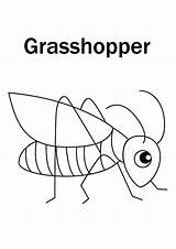 Grasshopper Coloring Pages & Books  100% FREE And Printable sketch template