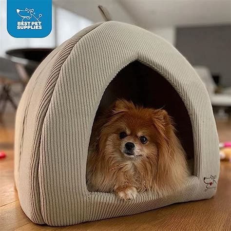 The 11 Best Igloo Dog Houses - BestForPets.org