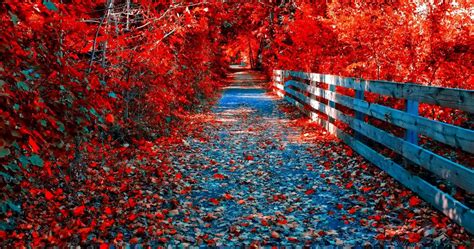 Red Autumn Wallpapers - Wallpaper Cave