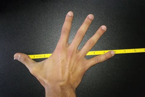 How big is 8 inches? Find out all that you need to know here