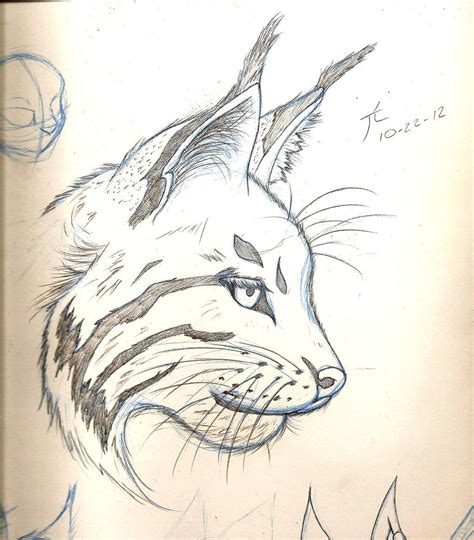 Related image | Animal drawings, Cat drawing, Sketches