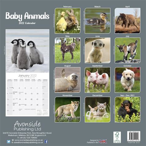 Baby Animals Calendar | Animal Calendars | Pet Prints Inc