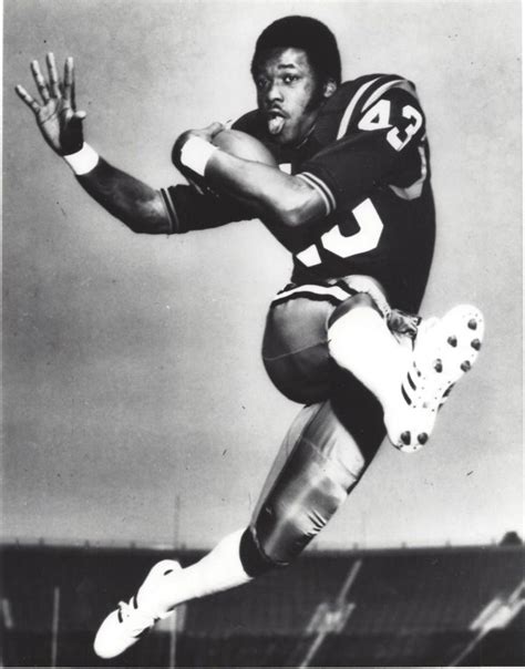 Darryl Stingley- Career| Hit| Legacy - Museum Facts