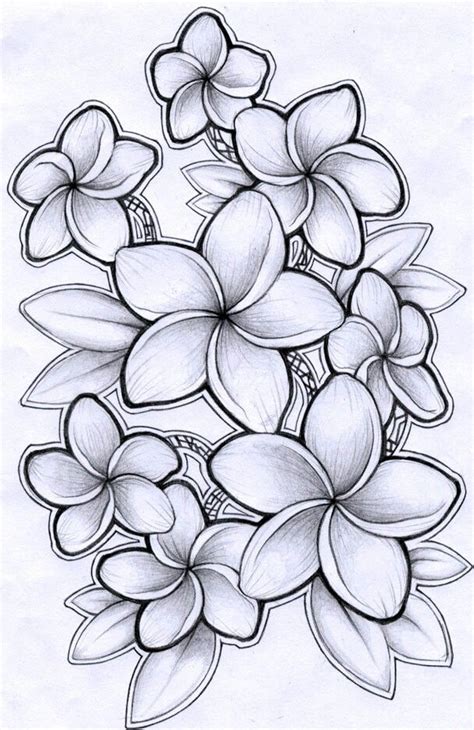 Plumeria | Hawaiian flower tattoos, Hawaiian flower drawing, Flower drawing