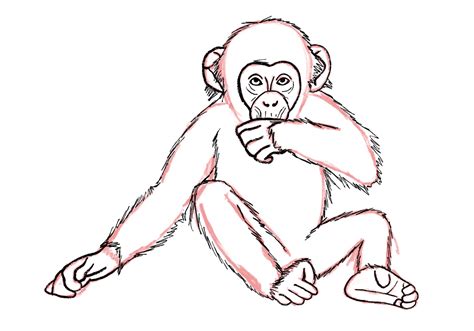 How To Draw A Monkey in 9 Easy Steps | Design Bundles