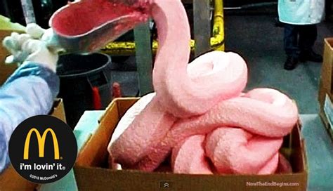 Are YOU "lovin' it"? - McDonald's finally forced to admit to using pink slime in their meat, and ...