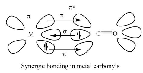 Discuss the nature of bonding in metal carbonyls.