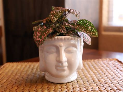 Porcelain Buddha Head Planter Patio Decor Spring Home Decor - Etsy