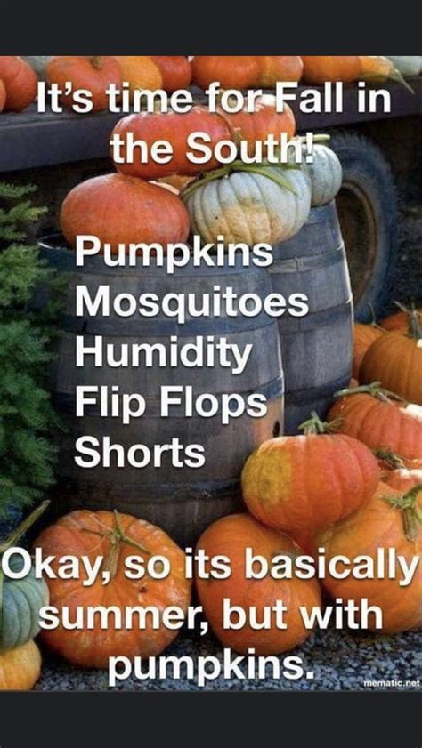 Pin by Cathie on Halloween | Fall humor, Pumpkin, Fall memes