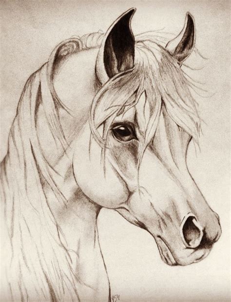 25+ bästa Como dibujar un caballo idéerna på Pinterest ... | Horse head ...