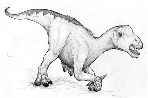 Maybe the Iguanodon was slightly Quadruped-ish | DeskSketch