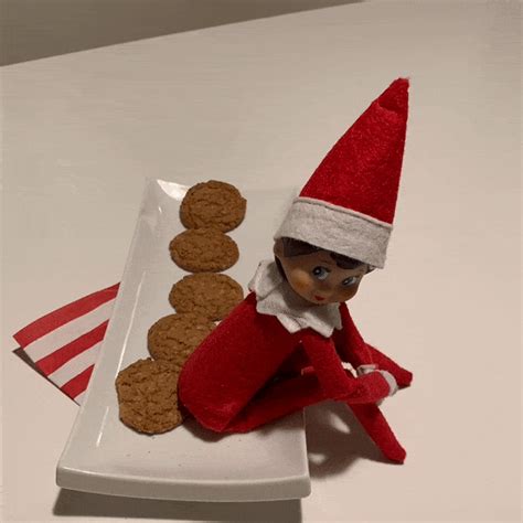 How to Catch Elf on the Shelf Moving & 5 Ideas to Bring Him to Life | Life Lapse: Stop Motion App