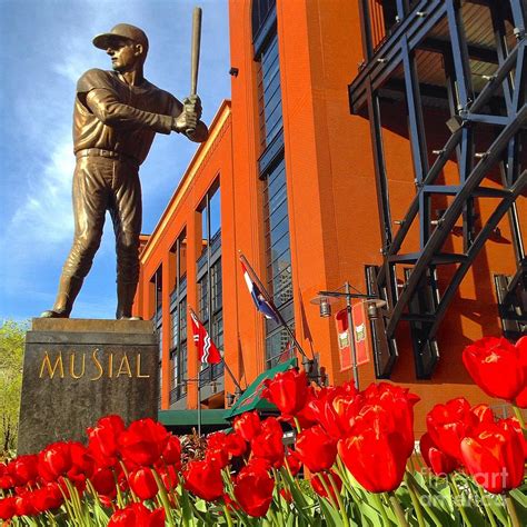 Stan Musial Statue On Opening Day Photograph by Debbie Fenelon - Fine ...