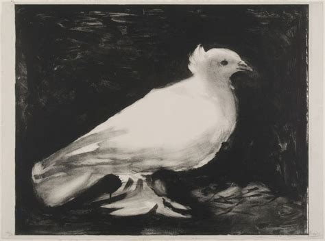 Philadelphia Museum of Art - Collections Object : The Dove | Picasso ...