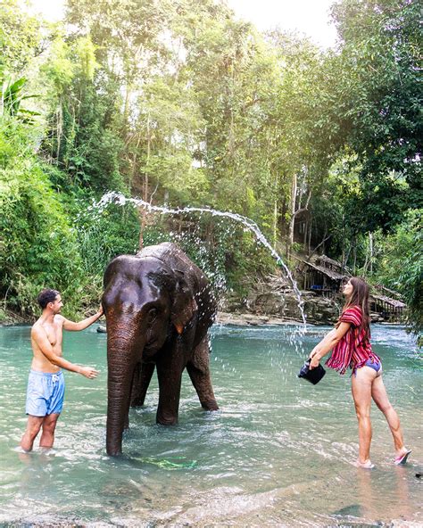 ELEPHANT EXPERIENCE - Ethical Elephant Tours in Chiang Mai