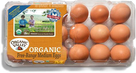 Organic Valley, Organic Free-Range Medium Brown Eggs - 18 ct: Amazon.com: Grocery & Gourmet Food