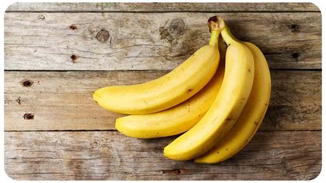 Are Bananas Good For Garden Soil? (Explained) – Unified Garden