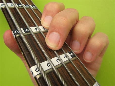 5-STRING BASS GUITAR FRETBOARD NOTE LABELS Learn Fret Stickers + Online Lessons | eBay