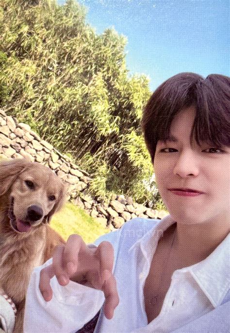 seungmin with dog stay in stay stray kids in jeju photobook jyp shop ...