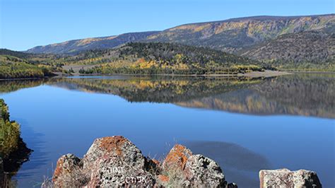 Journey to Fish Lake, Utah’s Fishing Gem | SUU