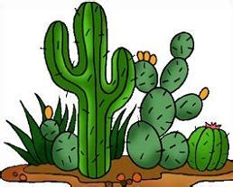 Desert cactus clipart - Clipground