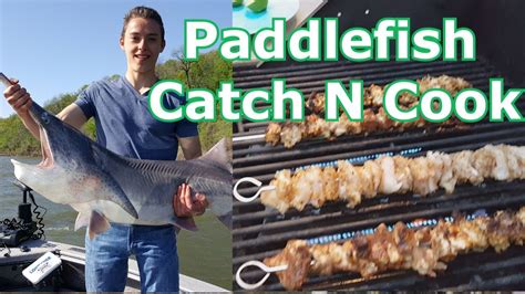 Catch and Cook Paddlefish (Spoonbill) - How to- Amazing Taste - YouTube