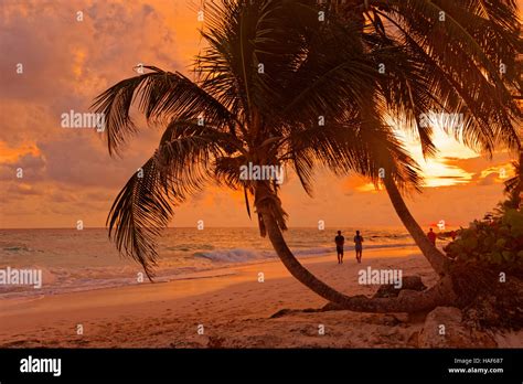 Sunset at Dover Beach, St. Lawrence Gap, South Coast, Barbados, Caribbean Stock Photo - Alamy
