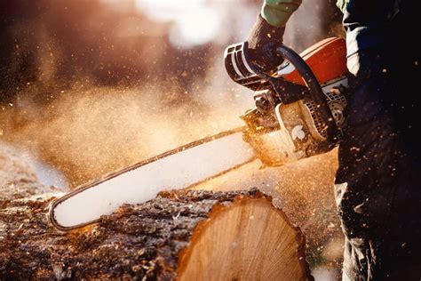 7 Chainsaw Maintenance Tips for Extending the Lifespan