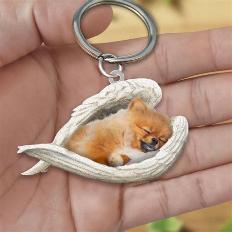 Custom Dog Gifts, Pet Keychain, Keychains, Pomeranian Lovers, Dog Modeling, Sleeping Dogs ...