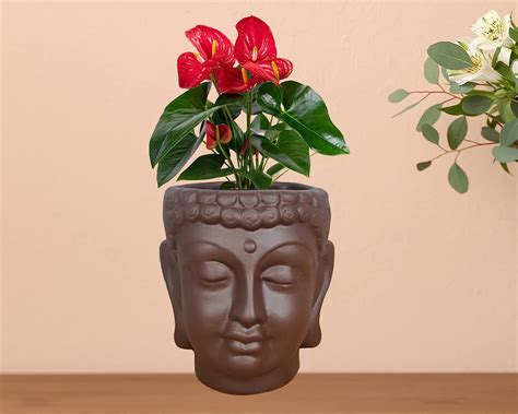 SHAVI DE MIDI Buddha Ceramic planters, Table top Indoor Planter Pot, Ceramic Planter for Indoor ...