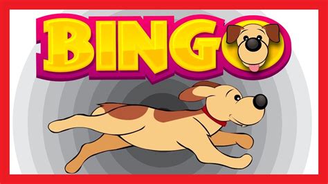 BINGO DOG SONG - YouTube