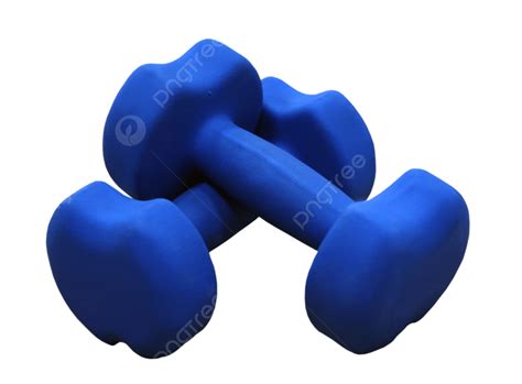 Dumbbells Aerobics Gymnasium Shape, Gymnasium, Shape, Muscle PNG ...